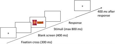 Increased Preference and Value of Consumer Products by Attentional Selection